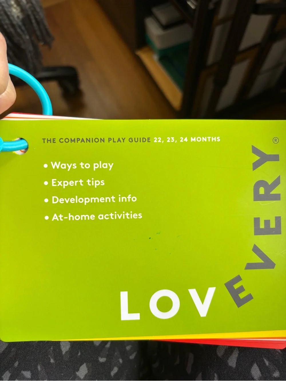 Lovevery bundle- wooden posting stand & play guide!